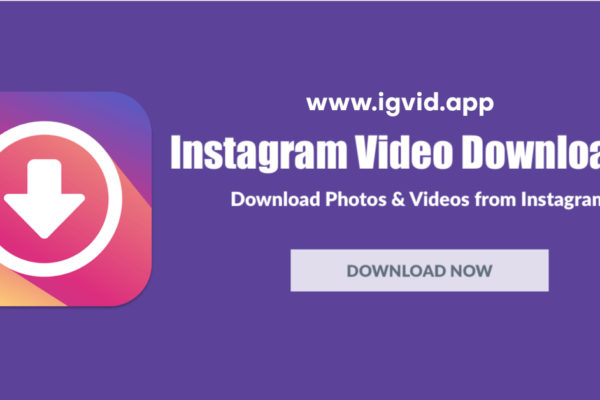 Instantly Save Instagram Reels Videos to Your Gallery: Effortless Downloading